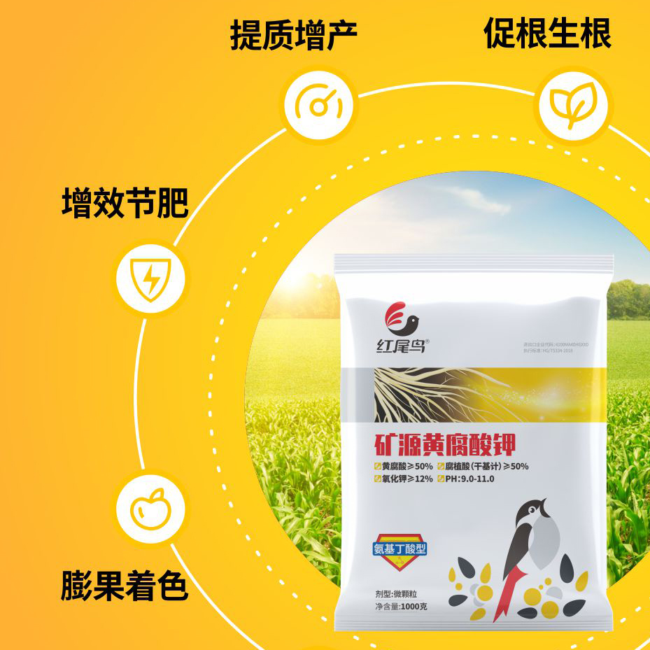 如何正確佩戴一次性口罩
